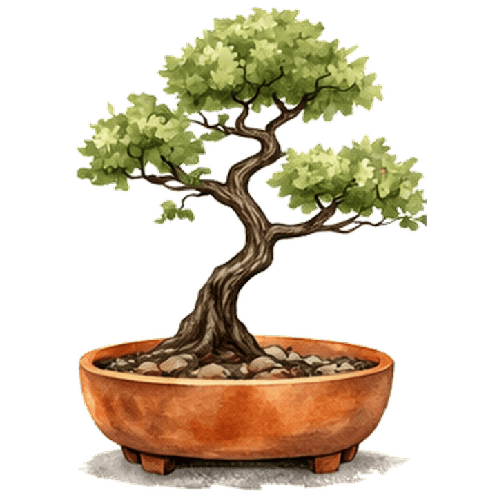 Bonsai, in leaf