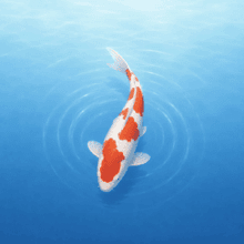 Koi app icon