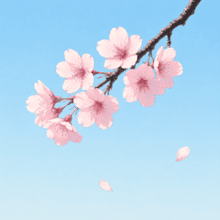 Sakura app icon